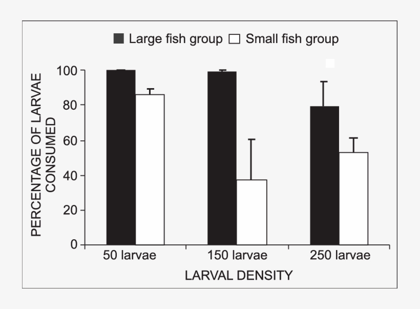 Percentage Predation Of Anopheles Larvae By The Large - Extracurricular Participation, transparent png #4002998