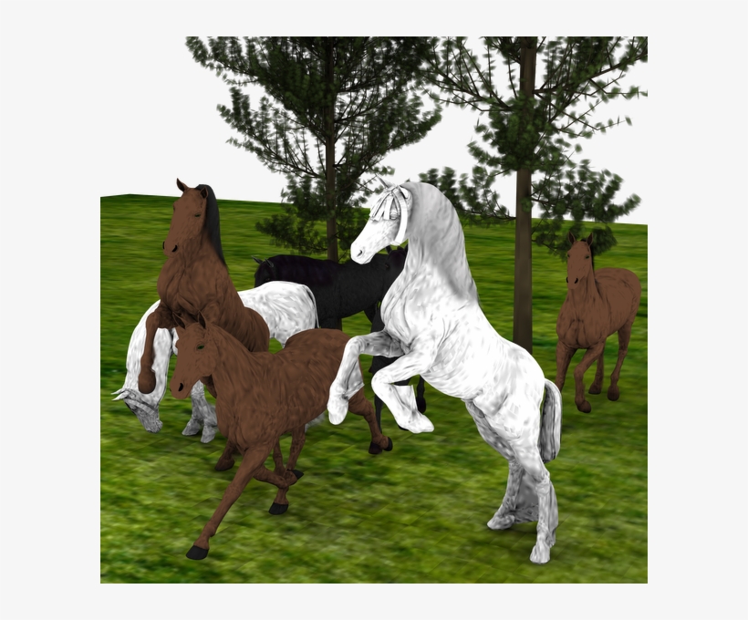 2nd Entry For The Newbie Contest I Need To Find The - Stallion, transparent png #4003744