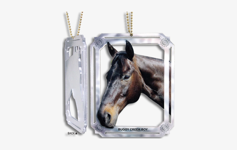 Png Transparent Horse Frames, transparent png #4003753