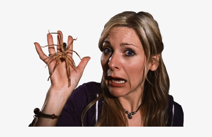 Naomi's Nightmares Of Nature - Naomi Wilkinson, transparent png #4003787