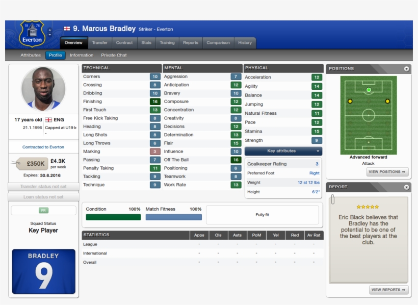 Number9 Views - Everton F.c., transparent png #4003828