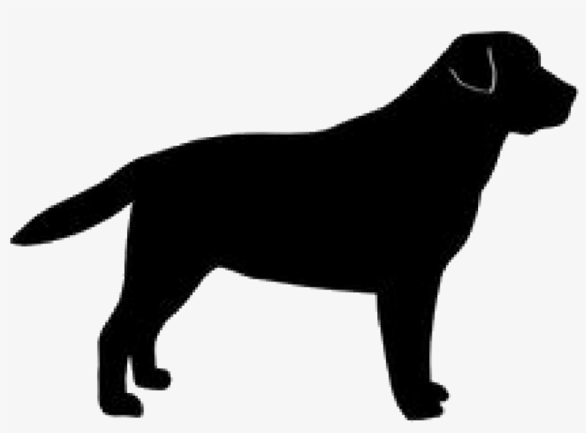 A Black Dog - Labrador Retriever Silhouette Png, transparent png #4004119