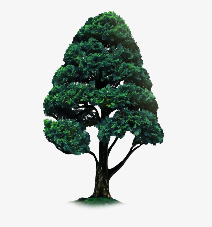 Crop Tree Png - Tree Sticker For Picsart, transparent png #4004210