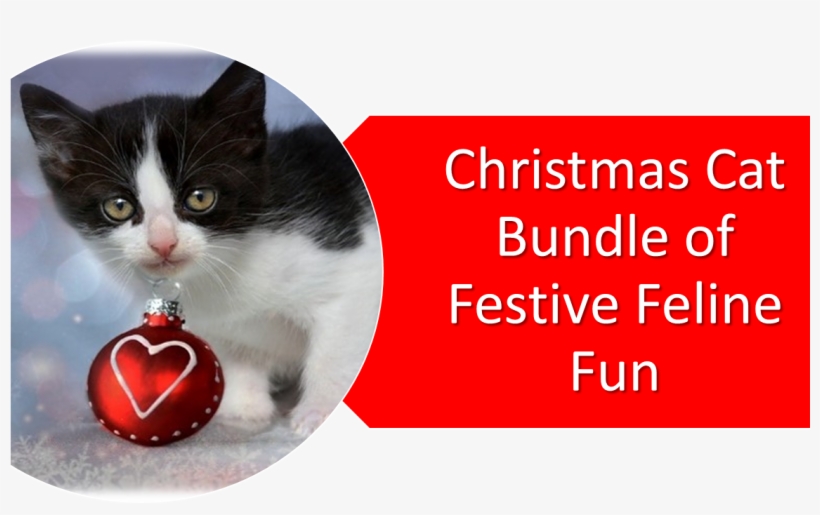 Christmas Day, transparent png #4004247