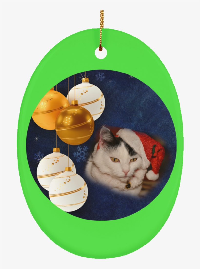 Christmas Cat Photo Ornament - Ethi Pike: Christmas Ornaments Notebook; Paperback;, transparent png #4004438