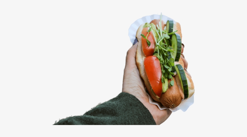 Haute Doggery, transparent png #4004771