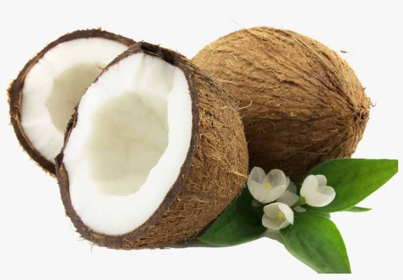 Coconut Png, transparent png #4004860
