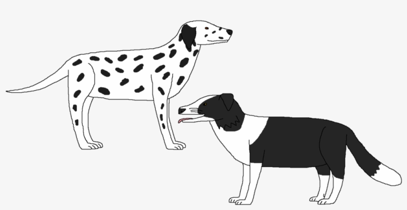 Black And White Dogs By Wildandnaturefan Pluspng - Dog Catches Something, transparent png #4004943