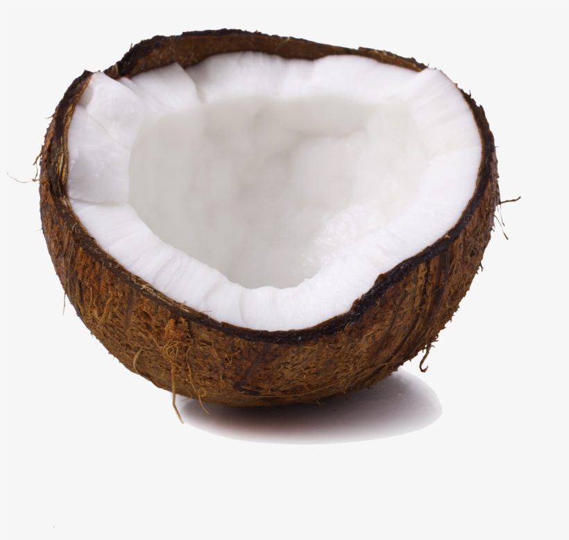 Free Coconut Png - Votief Kaars Green Palm Kokoswas Geurloos, transparent png #4005079