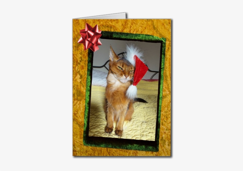 Naughty Christmas Kitty Card - Freche Miezekatze-weihnachtskarte Karte, transparent png #4005103