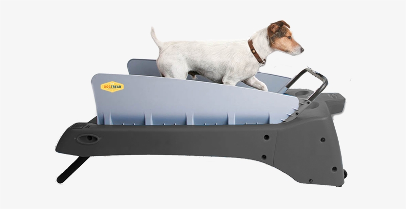 Small Dog Treadmill, transparent png #4005895