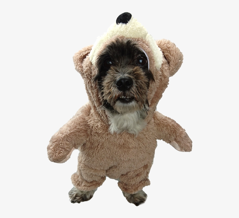 Teddy Bear Small Dog Costume On The Hunt Dog Beds And - Guitar Costume For Dogs Transparent, transparent png #4006329