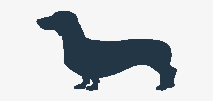 Dachshund Dog Icon, transparent png #4006706