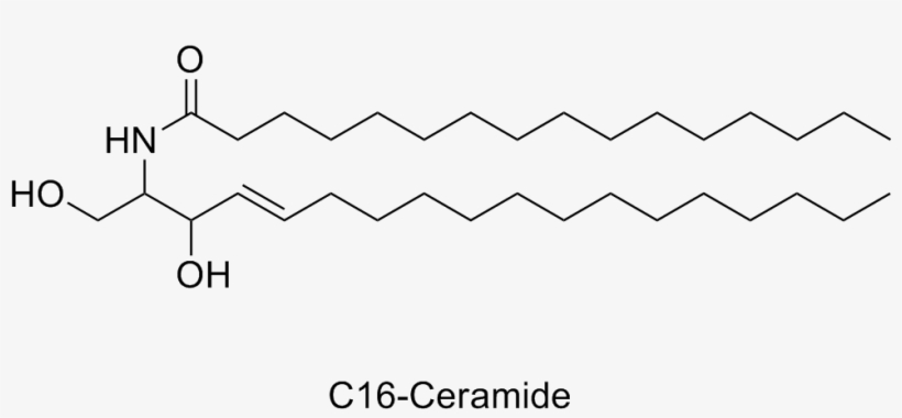What The Eff Are They And Why Are They In My - Structure, transparent png #4007468