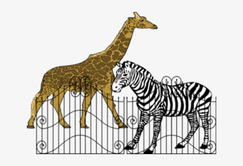 Zebra Silhouette Shower Curtain, transparent png #4007540