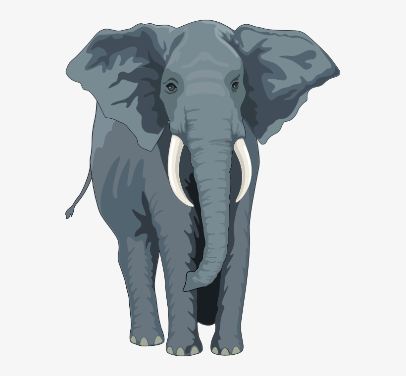 Elephant Clipart, Suggestions For Elephant Clipart, - Elephant Royalty Free, transparent png #4007612