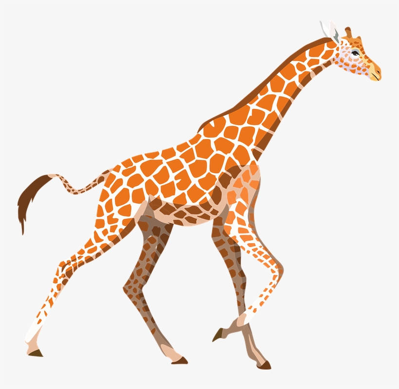 Zoo Animals Clip Art At Clker - Giraffe Clipart Pixabay, transparent png #4007931