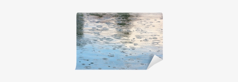 Rain Drops In A Puddle With Some Reflections Wall Mural - Rain, transparent png #4008388