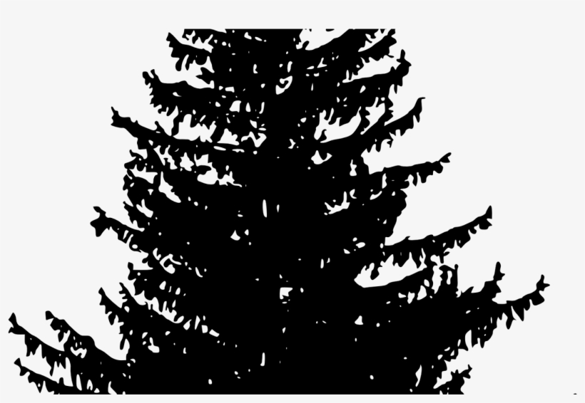 15 Vector Trees Png For Free Download On Mbtskoudsalg - Pine Tree Silhouette Free, transparent png #4009342