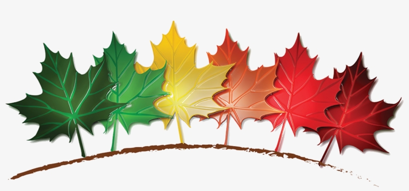 Benjamin Tree Farm, transparent png #4009438