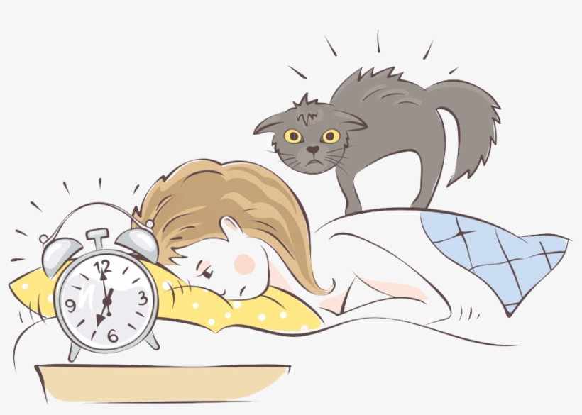 Wake - Cartoon, transparent png #4009799