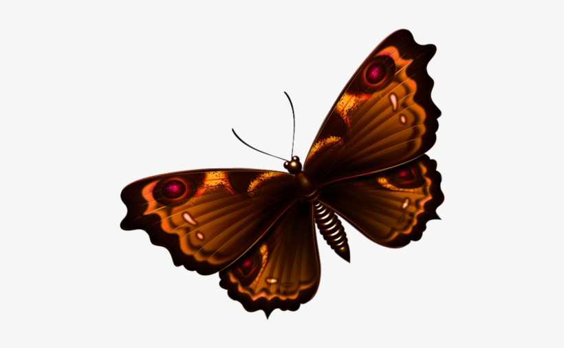 Read It - Butterfly Png Textures, transparent png #4009933