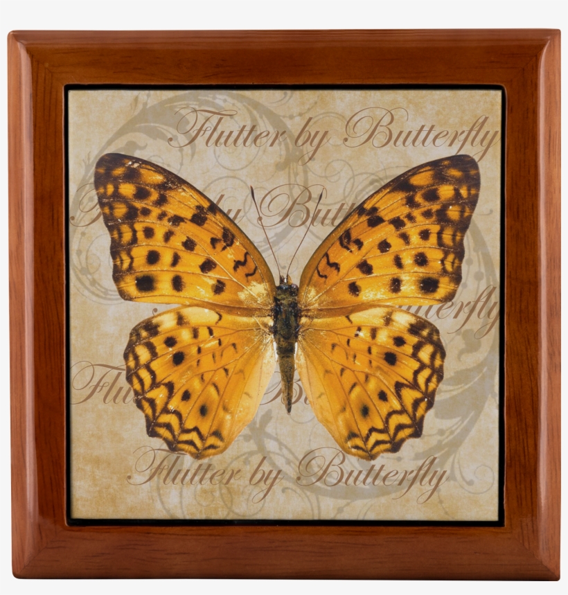 Load Image Into Gallery Viewer, Butterfly,butterflies - Oliver Gal 'blue Butterfly' Canvas Art | Canvas Art, transparent png #4010118