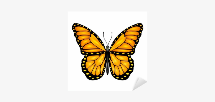 Papillon Orange Et Jaune, transparent png #4010222