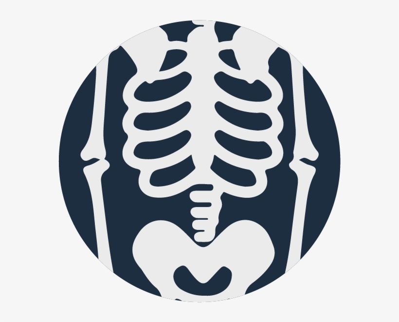 Kim Forensics Icon-01 - Skeleton, transparent png #4011035