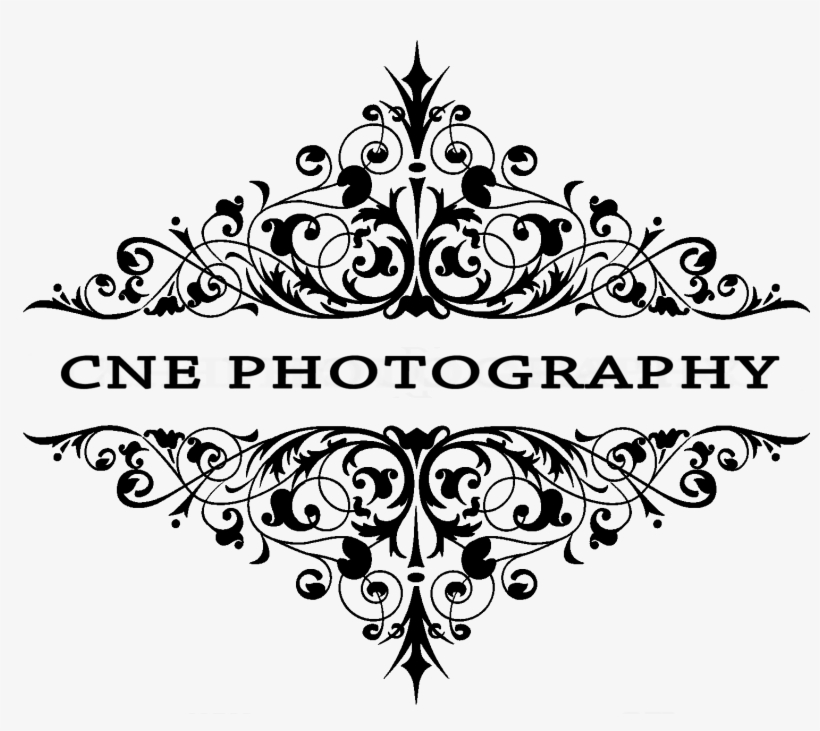 Cne Photography Wedding Photography, Quinces Senior - Mother Dynamite - Mother Dynamite [cd], transparent png #4011393