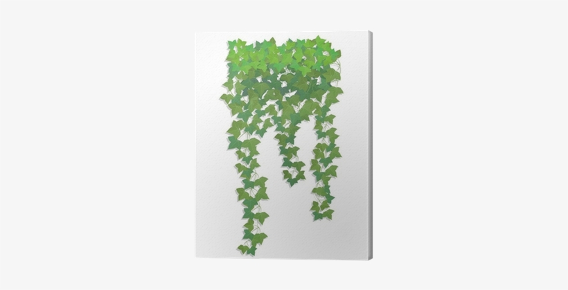 Hanging Branches Of Ivy - Kyv36 Digno Rafre ディグノ ラフレ スマホケース Au エーユー 009409 ハードケース, transparent png #4011886