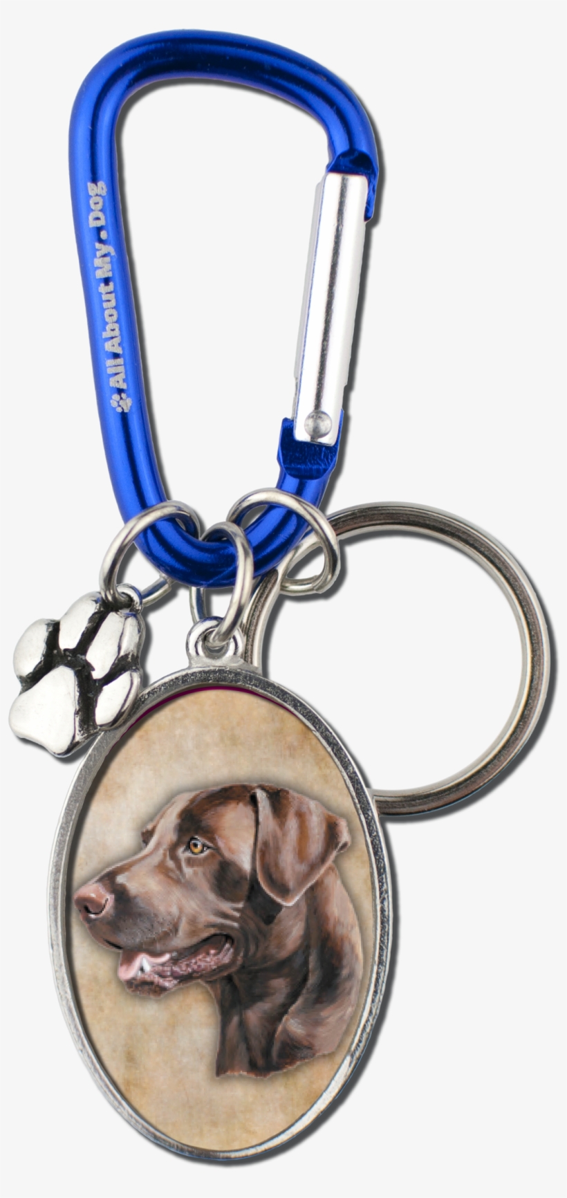 Chocolate Lab Cameo Carabiner Keychain - Labrador Retriever, transparent png #4012036