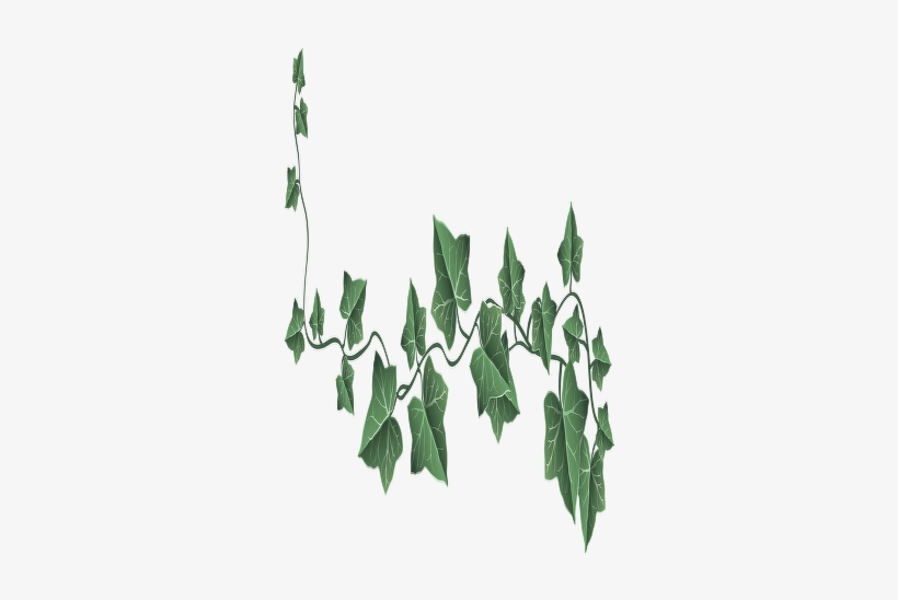 "it Had Long Flowing Hair, Just Hanging Like String, - Ivy Clipart, transparent png #4012084
