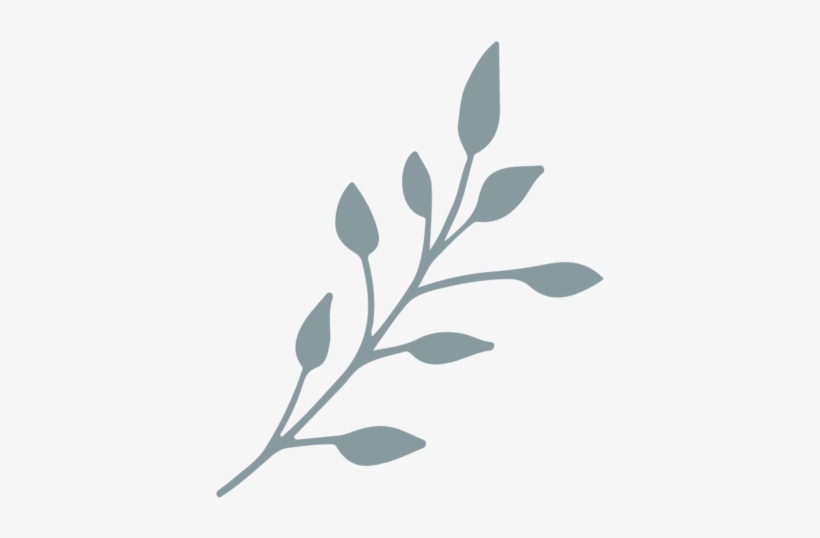 Jessica Dum Wedding Coodination - Wedding Leaf Design Png, transparent png #4012186