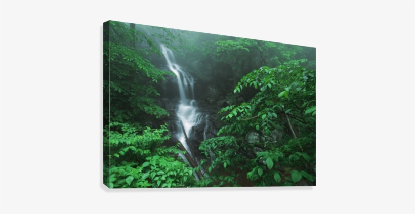 Virginia, United States Of America - Doyles River Falls Shenandoah National Park, transparent png #4012312