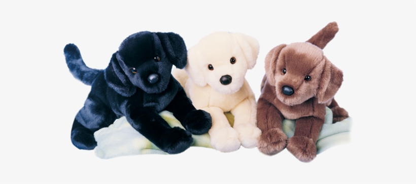 Douglas Cocoa Chocolate Lab - Black Labrador Plush Dog Chester From Douglas Company, transparent png #4012396