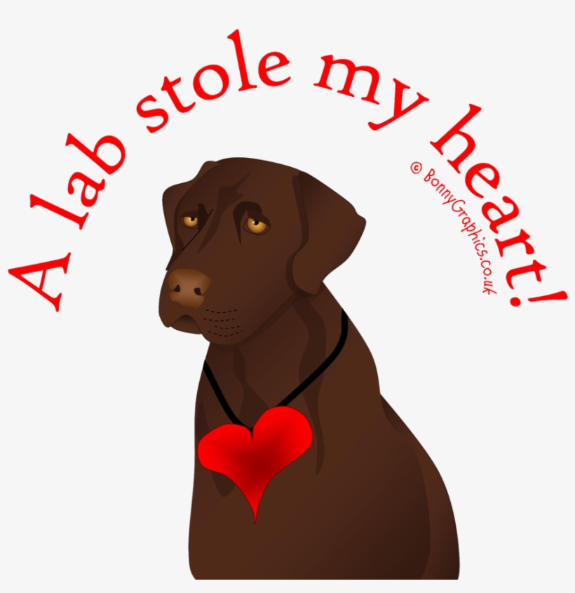 Chocolate Lab Heart> - Iphone Business Card, transparent png #4012701