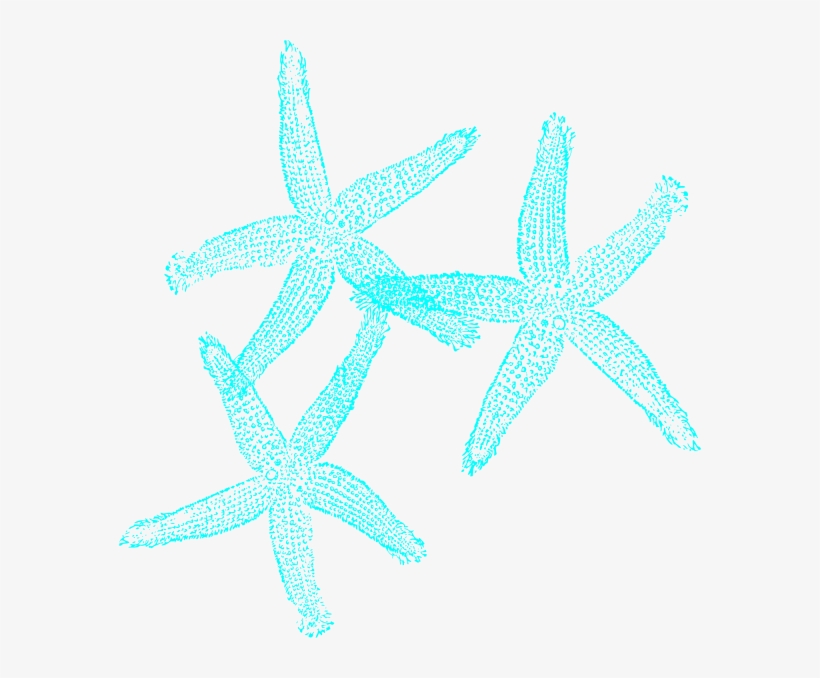 Coral And Turquoise Starfish Clip Art At Clker - Rush Processing Time Bridal Flip Flops Wedding Flip, transparent png #4013086