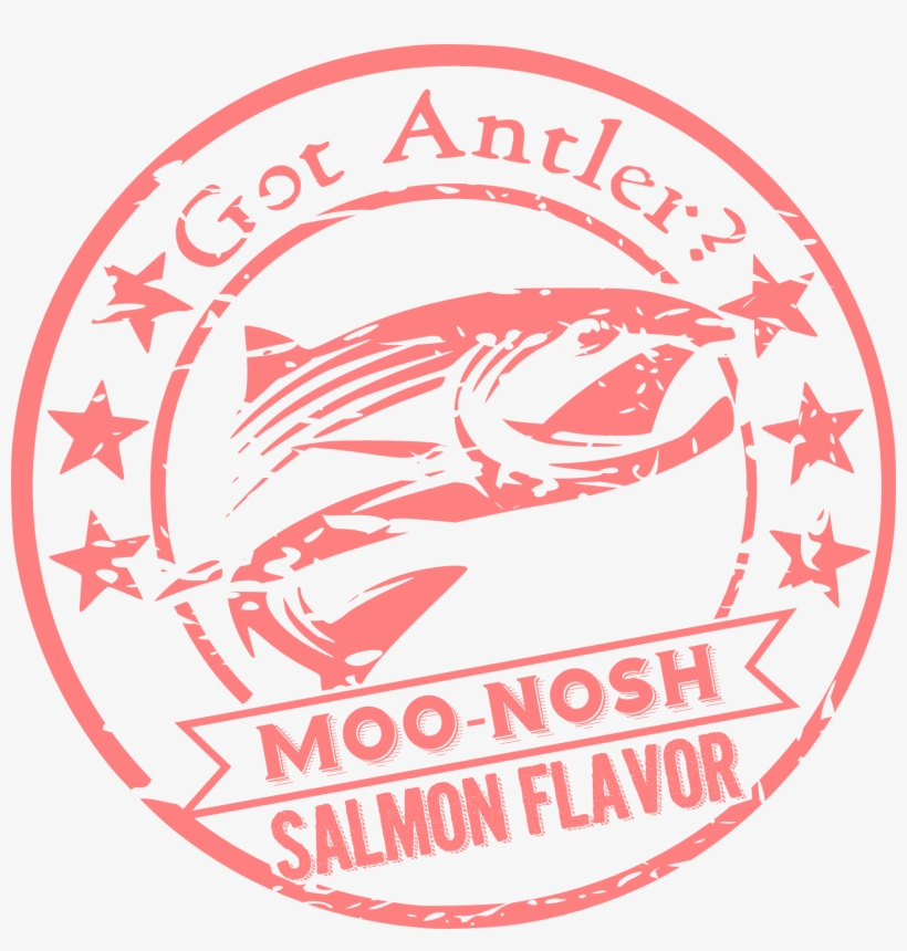 Moo-nosh Moose Antler A Great Way To Try A Moose Antler - Moose, transparent png #4014058