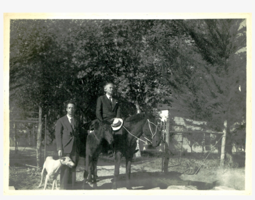 Fichero, Sabat0126 - Mare, transparent png #4014160