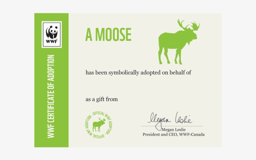 Moose Wwf Canada Certificate Adoption Free Transparent Png