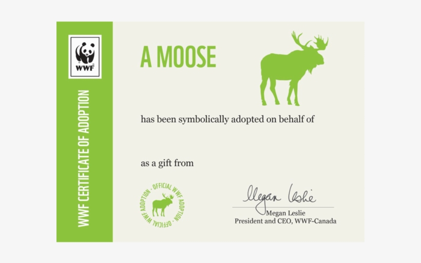 Moose - Wwf Canada Certificate Adoption, transparent png #4014297