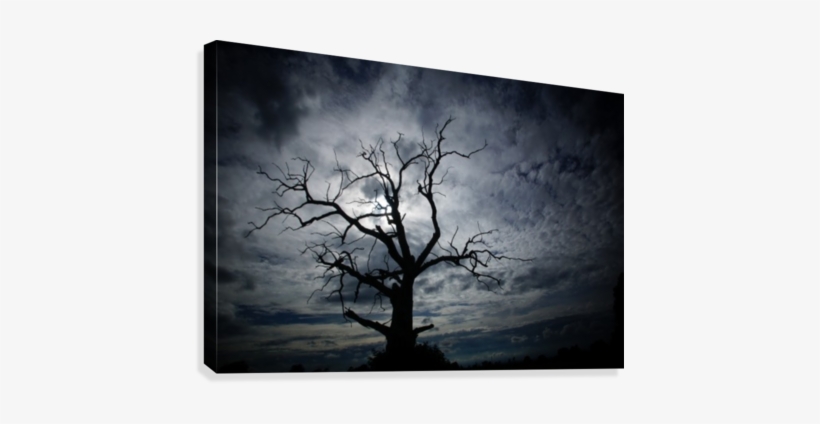 Scary Tree Canvas Print - Canvas Print, transparent png #4014469