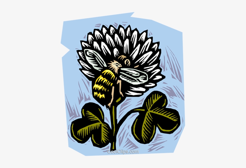 Honey Bee With Clover Royalty Free Vector Clip Art - Fertilization Do Takes Place In A Plant, transparent png #4014699