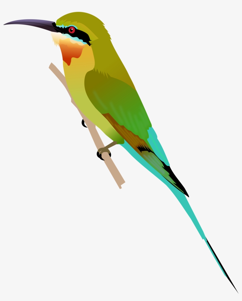 Open - Blue Tailed Bee Eater Png, transparent png #4014765
