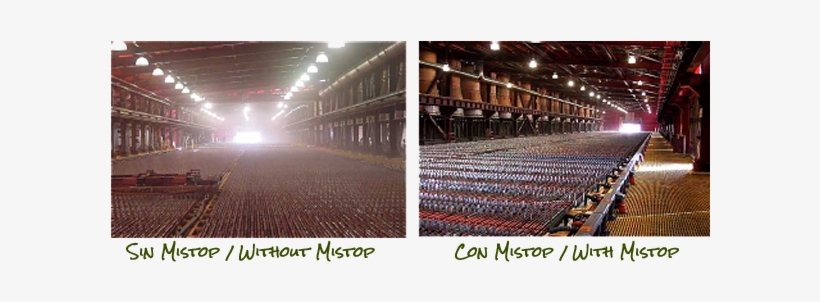 Está Formulado Para Reducir Efectivamente La Formación - Warehouse, transparent png #4014792