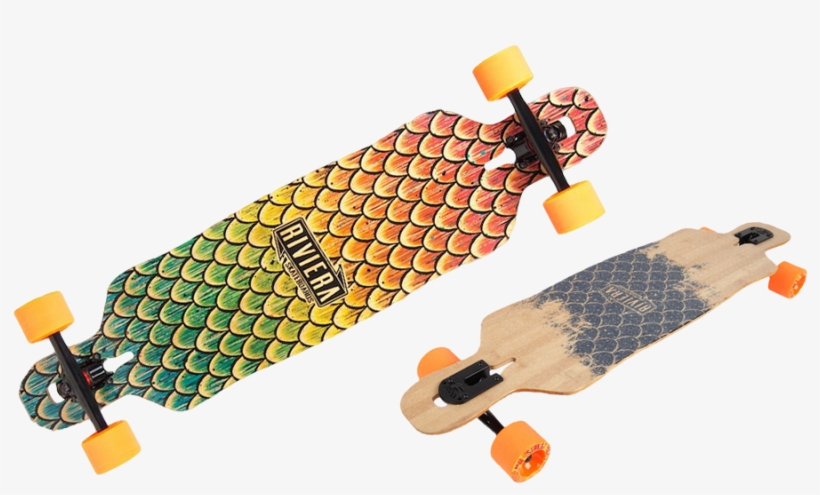 Beta Fish - Riviera - Beta Fish Dt Complete - 9.5x38" - Complete, transparent png #4014996