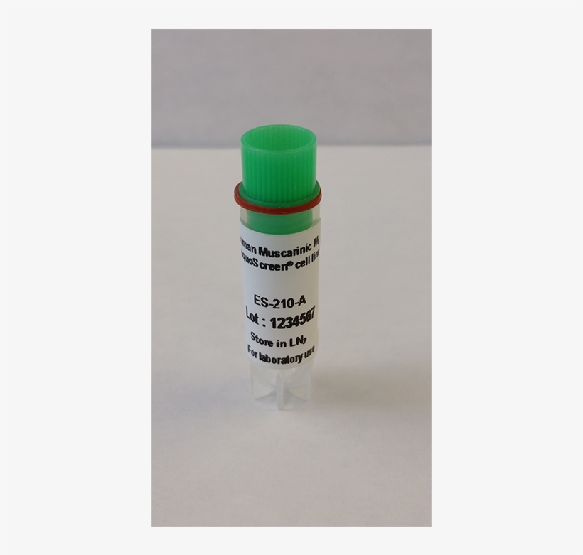 Receptor-expressing Cell Lines - Acrylic Paint, transparent png #4015273