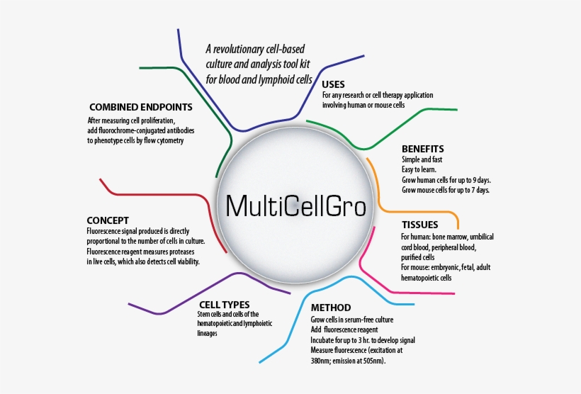 Multicellgro - Diagram, transparent png #4015565