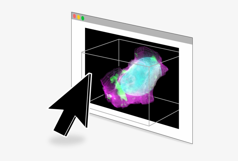 Allen Institute On Twitter - Graphic Design, transparent png #4016359